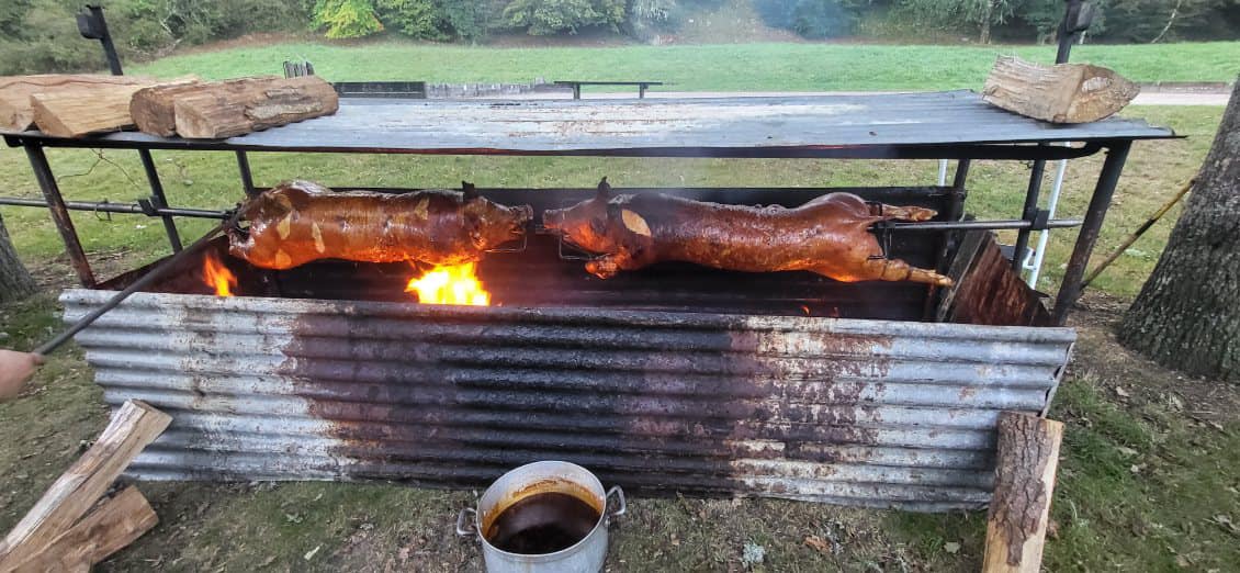 385810126_292568693535666_8734227702933342150_n